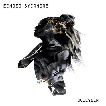 Quiescent