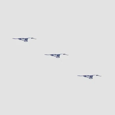 The Birds of Finland