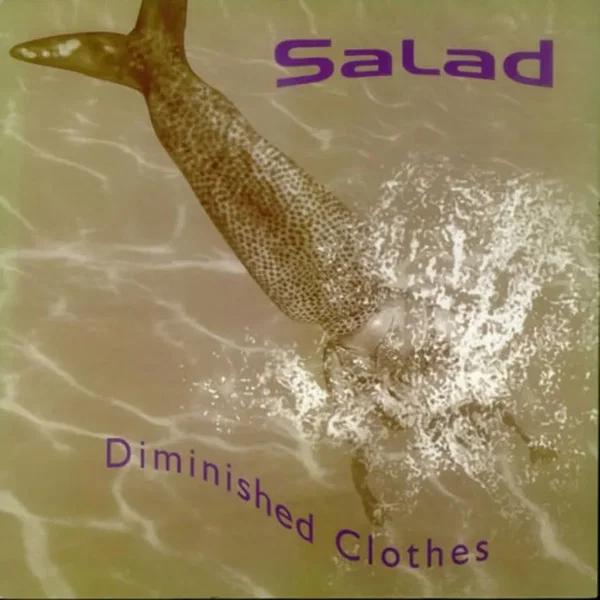 Diminished Clothes