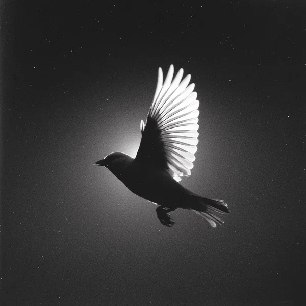 Instrumental Worship Collection