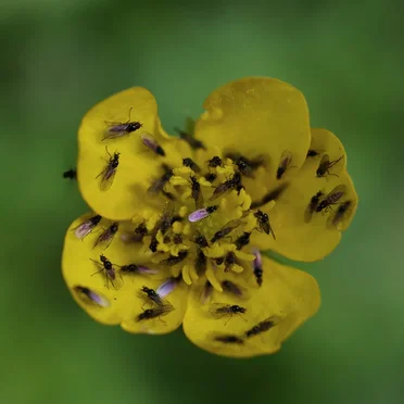 6 Spring Songs