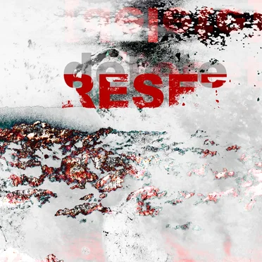 delete RESET