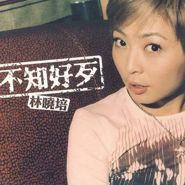 不知好歹
