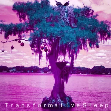 The Entombment of the Unworthy in the Dust of Their Own Nothingness by Transformative Sleep - album cover