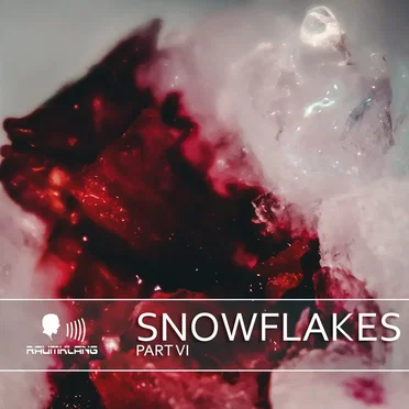 Snowflakes VI by Various Artists - album cover