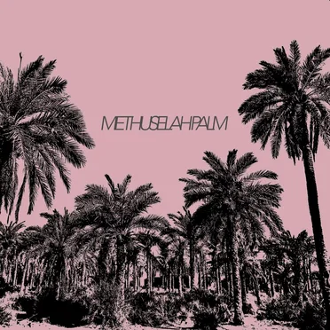 Methuselah Palm by Arif Mirbaghi - album cover