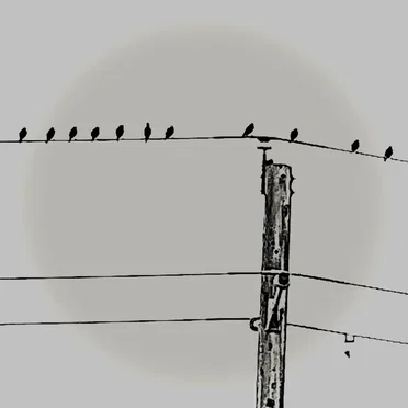 7.83Hz by CWB - album cover