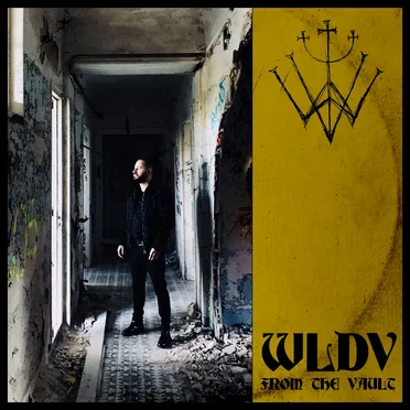From the Vault by WLDV - album cover