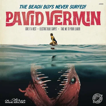 The Beach Boys Never Surfed!