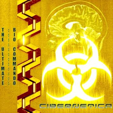 Cibernetica