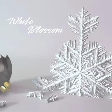 WhiteBlossom