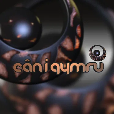 Cân i Gymru 2010 by Artistiaid Amrywiol - album cover