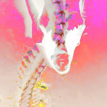 GODDEXX