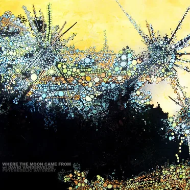 Psychedelic Saturday by Where The Moon Came From - album cover