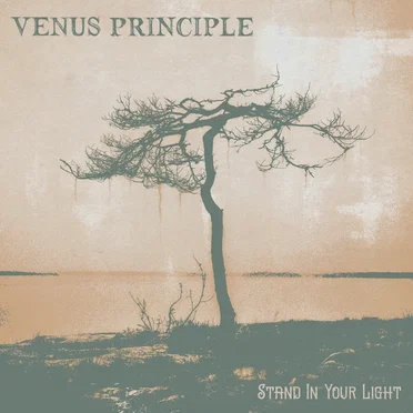 Stand in Your Light by Venus Principle - album cover