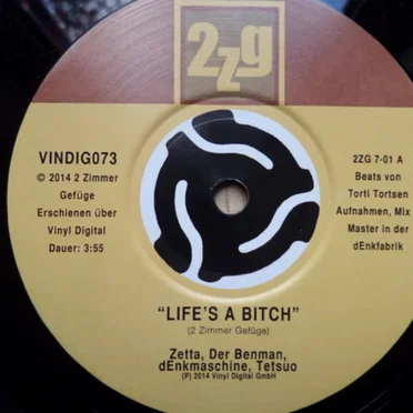 Life's a Bitch / Hagelschauer