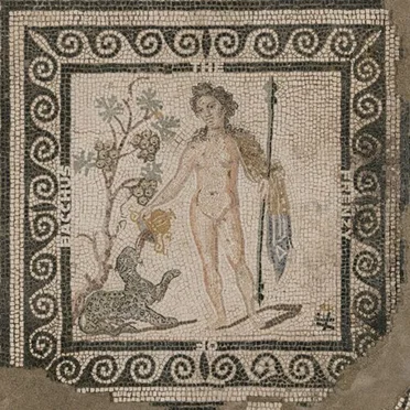 The Frenzy of Bacchus