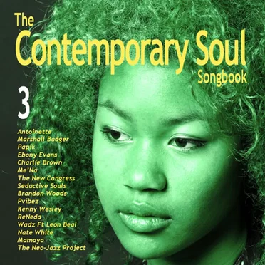 The Contemporary Soul Songbook 3 by Various Artists - album cover