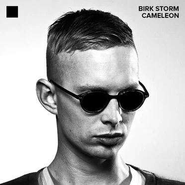 Cameleon by Birk Storm - album cover