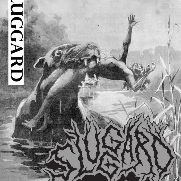 Sluggard