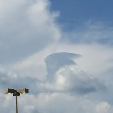 The Isolation Concerts, Volume 2