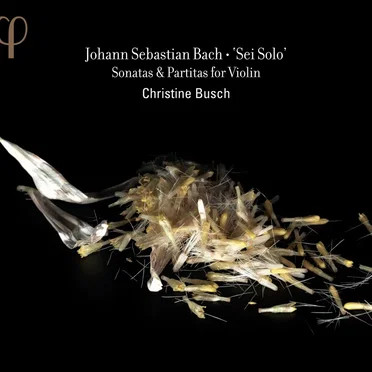 Sei Solo: Sonatas & Partitas for Violin