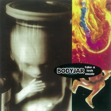 Take a Look Inside by Bodyjar - album cover
