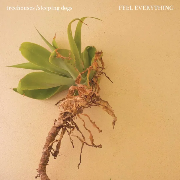 FEEL EVERYTHING