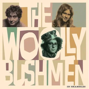 In Shambles by The Woolly Bushmen - album cover