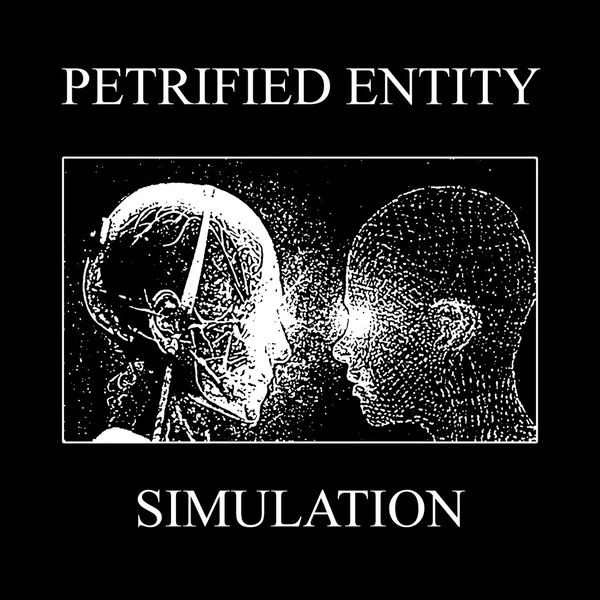 Simulation