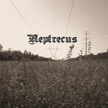 Neptrecus