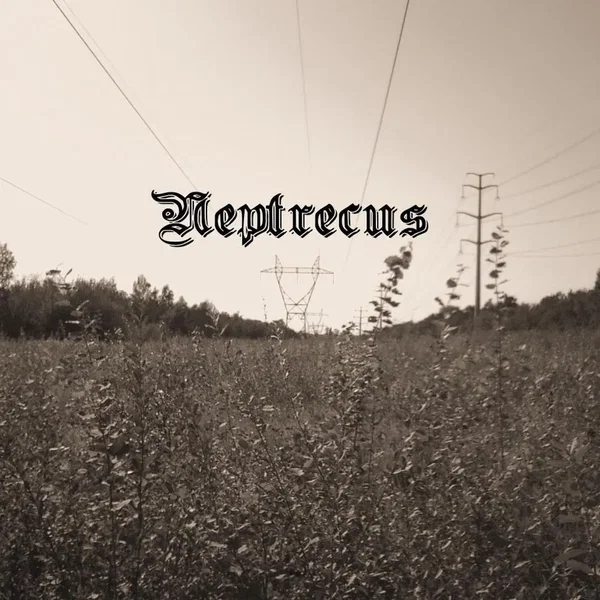 Neptrecus