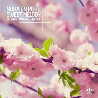Sweet Melody (Teenage Mutants remix)