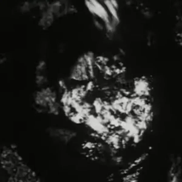 Begotten Chapter XII