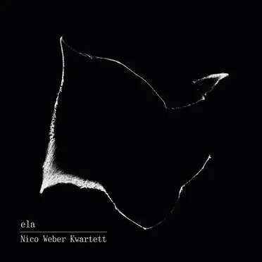 Nico Weber Kwartett