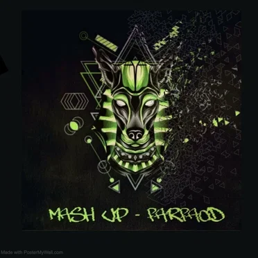 Mash Up #1 by Farfacid - album cover