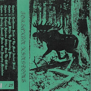 Caught Within the Dreaming Pines by Forsaken Kingdoms - album cover