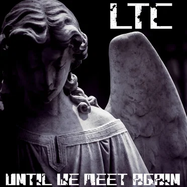 Until We Meet Again by Limoilou Terror Corps - album cover