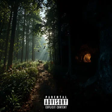 THE WOODS