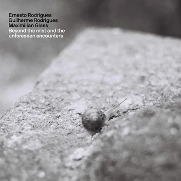 Beyond the mist and the unforeseen encounters