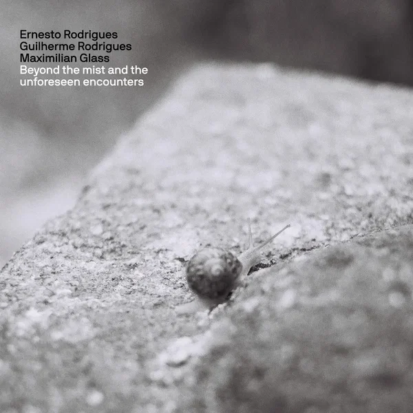 Beyond the mist and the unforeseen encounters