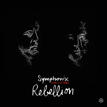 Symphonix Remix of Neelix Rebellion