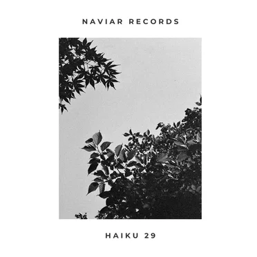 Naviar Haiku 29 by Various Artists - album cover