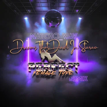 Dreams That Died In Stereo (Perfect Female Type Remix)