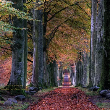 Melancholic Soul in Winter Twilight