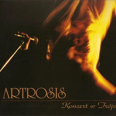Koncert w Trójce