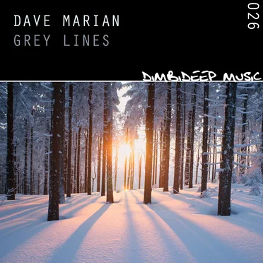 Grey Lines by Dave Marian - album cover