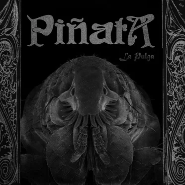 La Pulga by Piñata - album cover