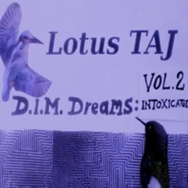 D.I.M. Dreams: Intoxicated Vol. 2