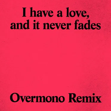 I Have a Love (Overmono remix)
